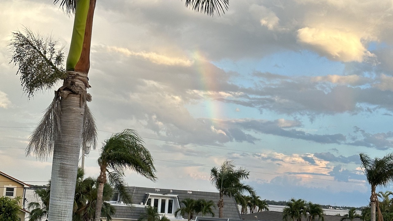 Photo of Outdoor in Caloosahatchee