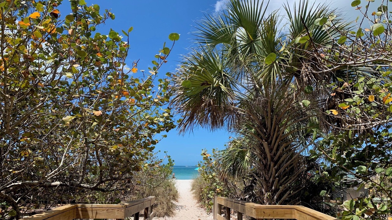 Photo of Others in North Naples