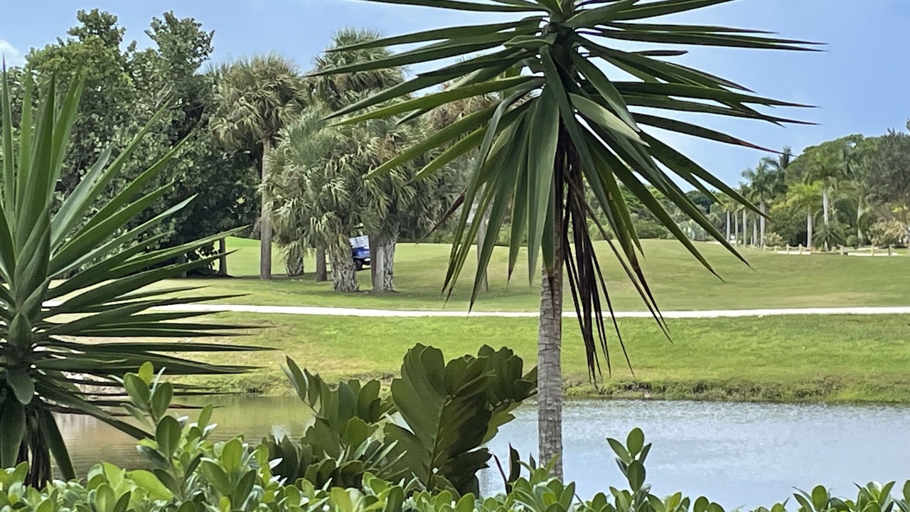 Photo of Outdoor in Burnt Store Marina