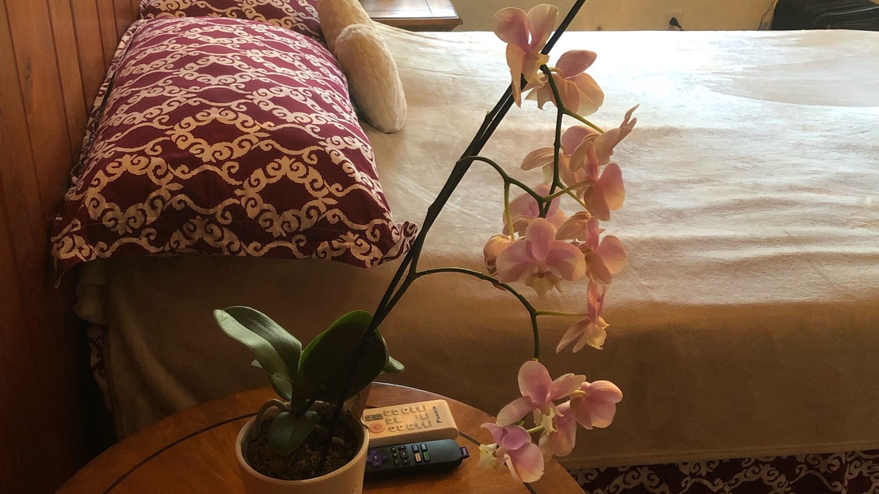Photo of Bedroom in Bradenton