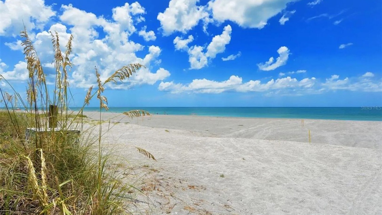 Photo of Others in Siesta Key