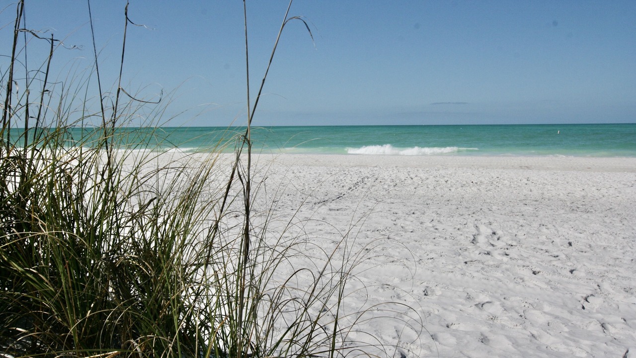 Photo of Others in Anna Maria
