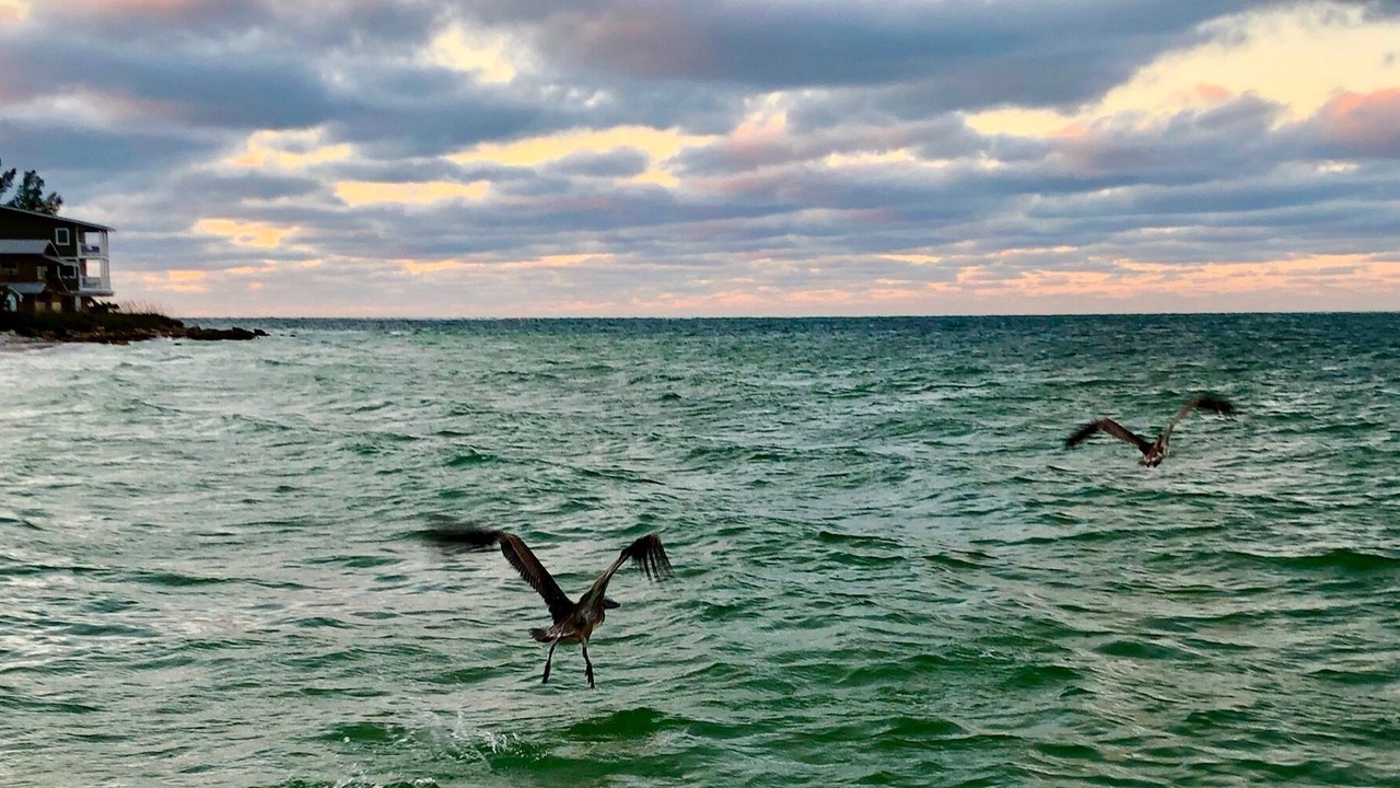 Photo of Others in Bradenton