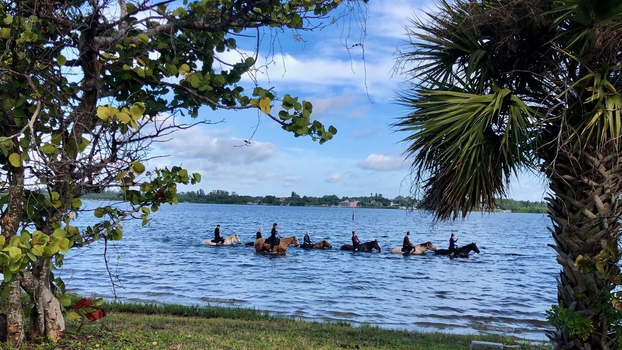 Photo of Others in Bradenton