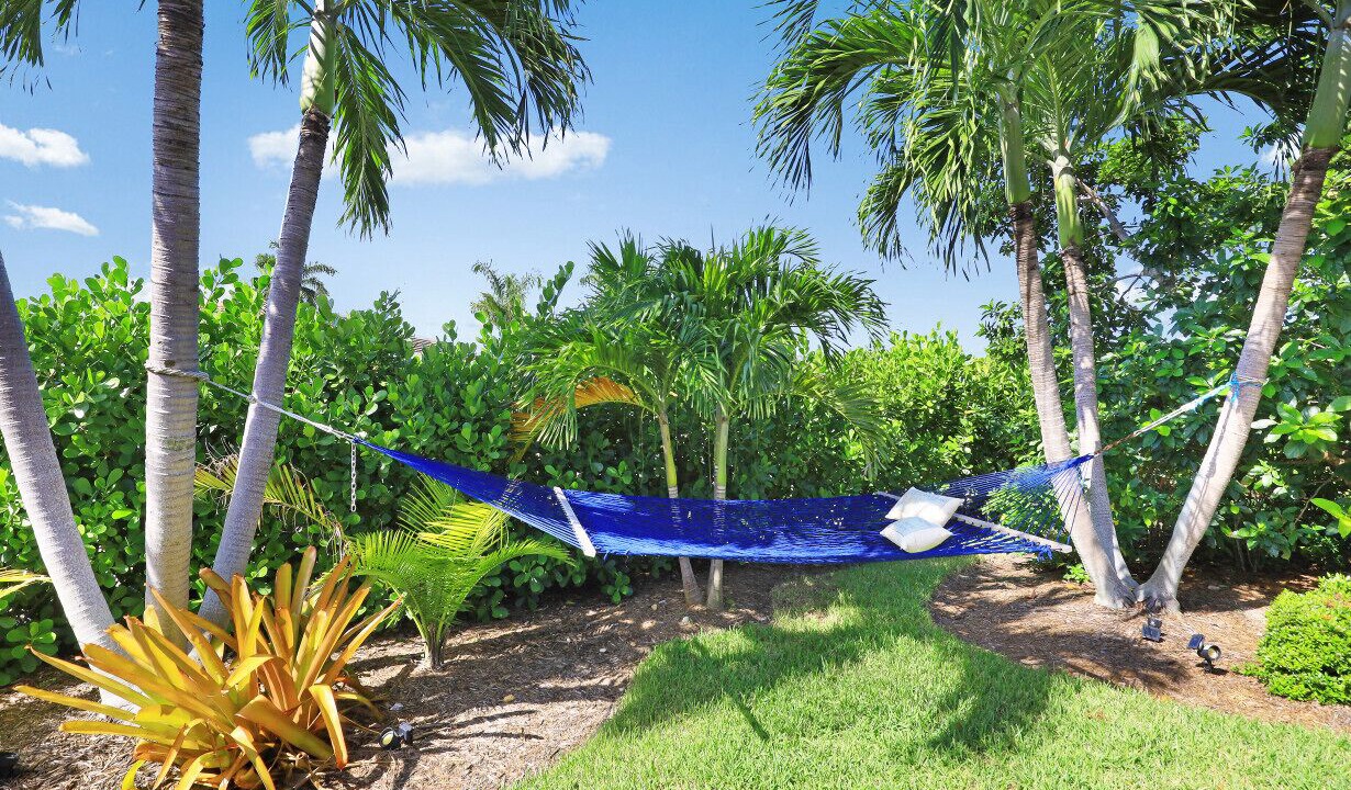 Photo of Outdoor in Marco Island