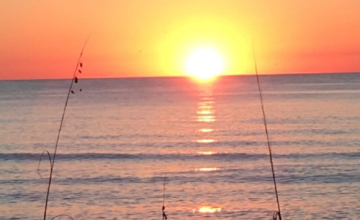 Photo of Others in Coquina Sands