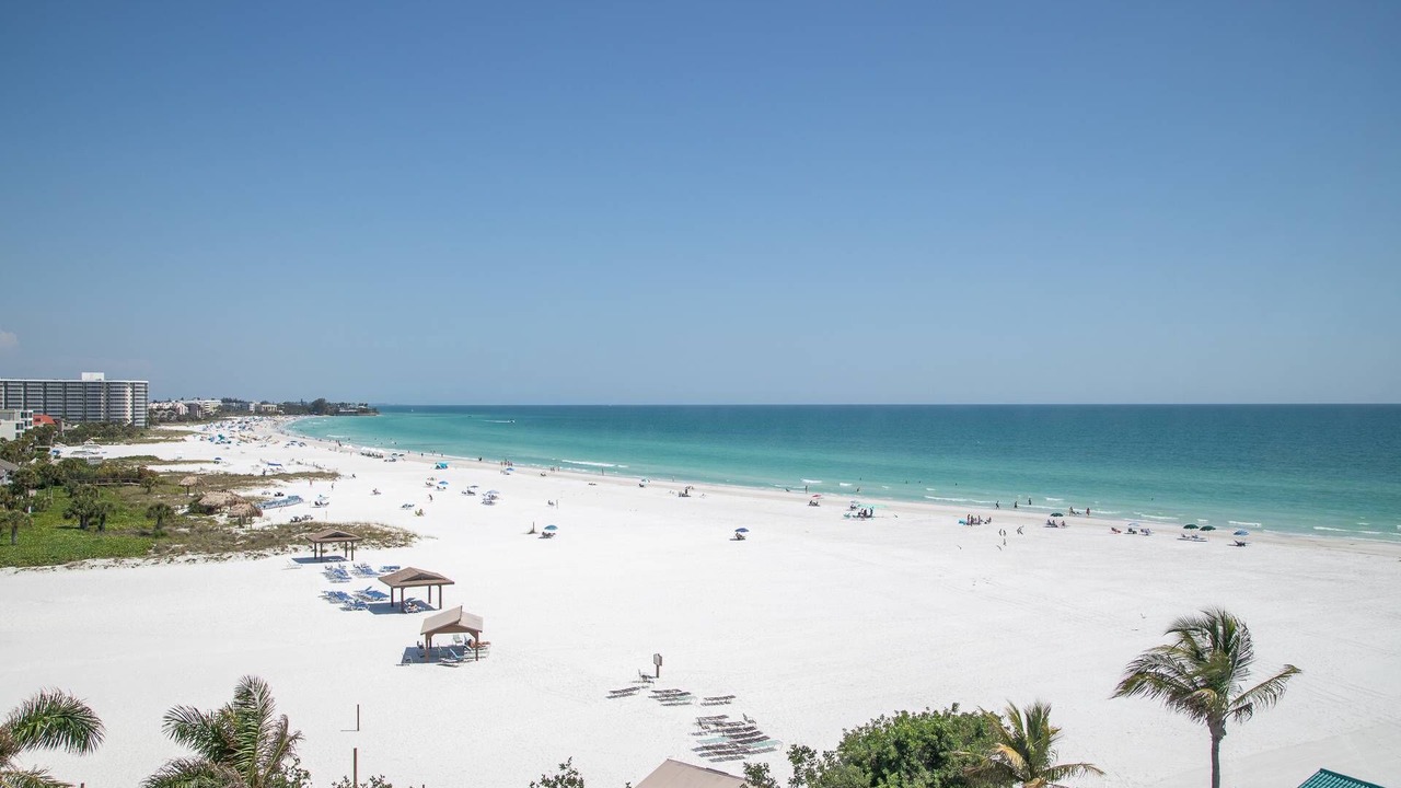 Photo of Others in Siesta Key