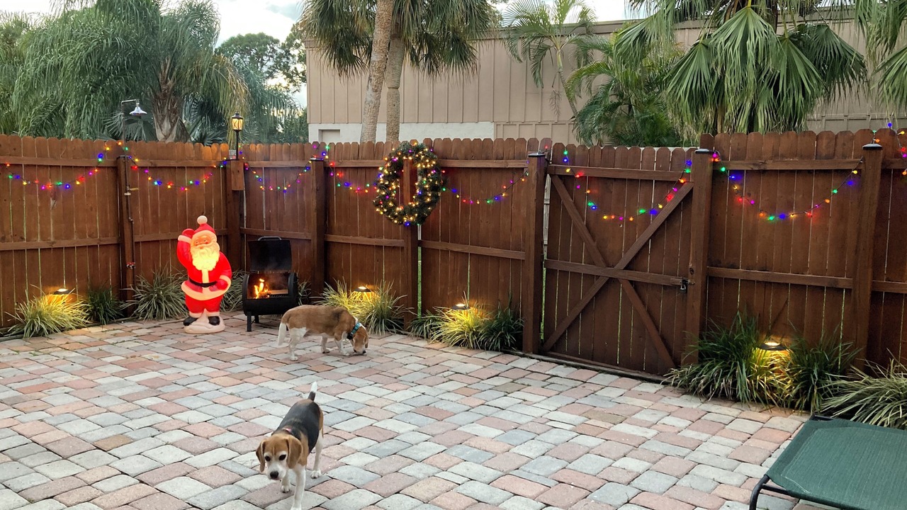 Photo of Outdoor in Gulf Gate Estates