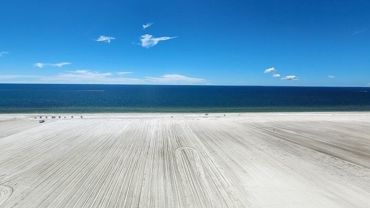 Photo of Others in South Island