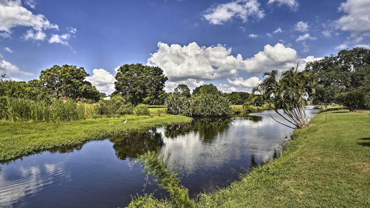 Photo of Others in Lochmoor Waterway Estates