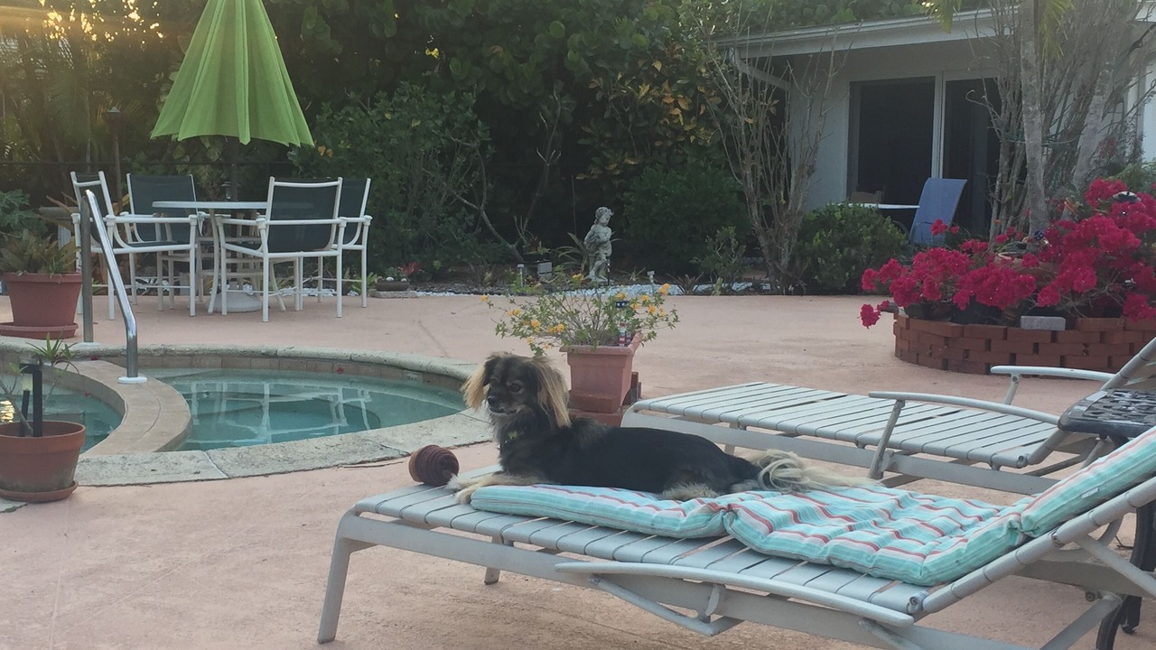 Photo of Outdoor in Coquina Sands