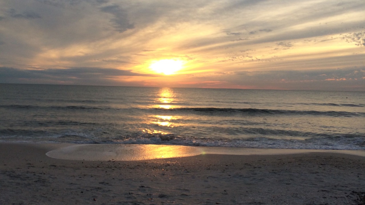 Photo of Others in Bonita Springs