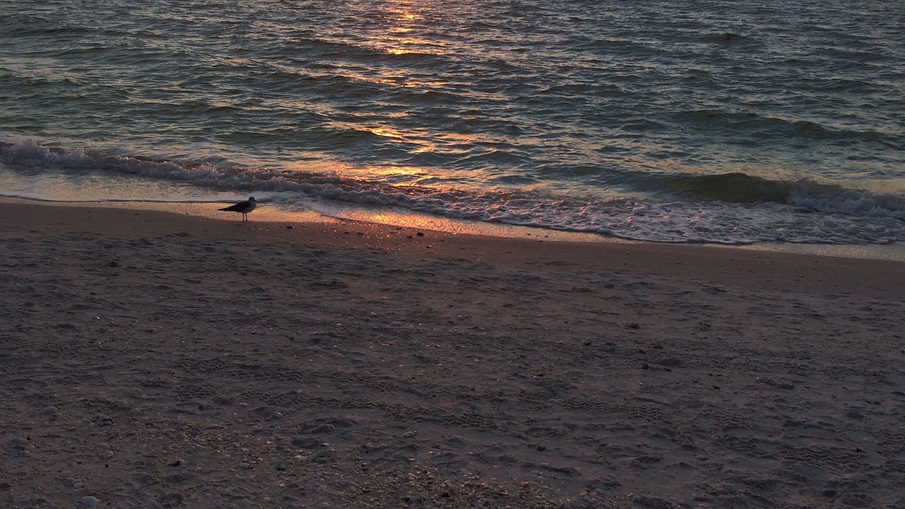 Photo of Others in Bonita Springs