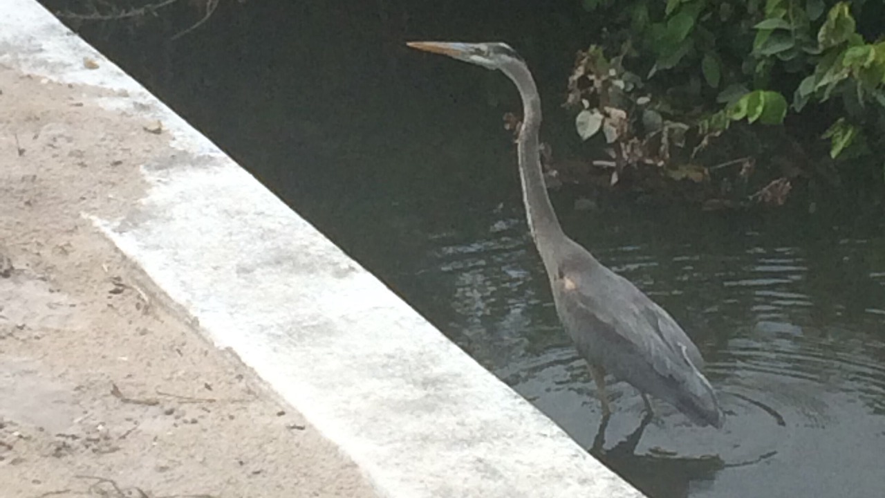 Photo of Outdoor in Bonita Springs