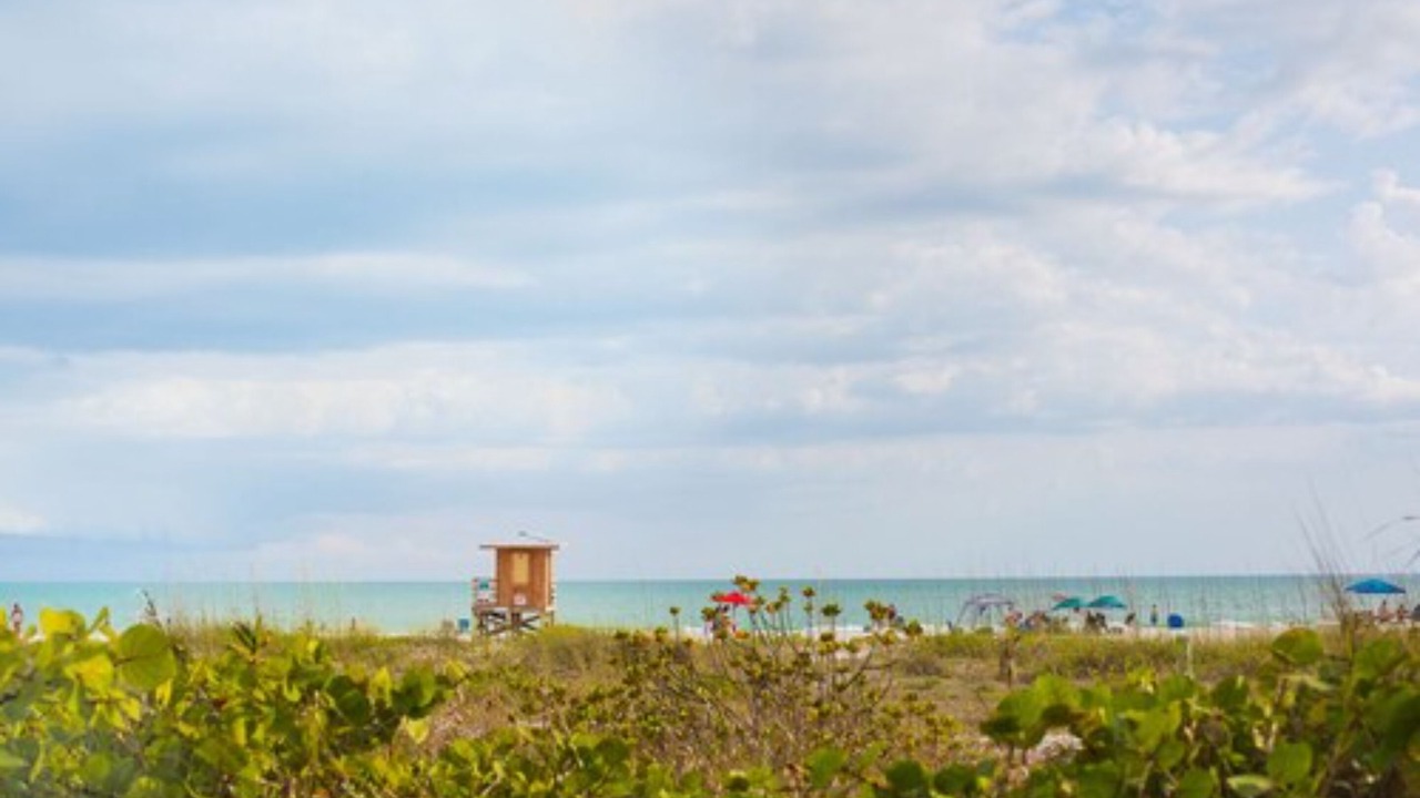 Photo of Others in Sarasota