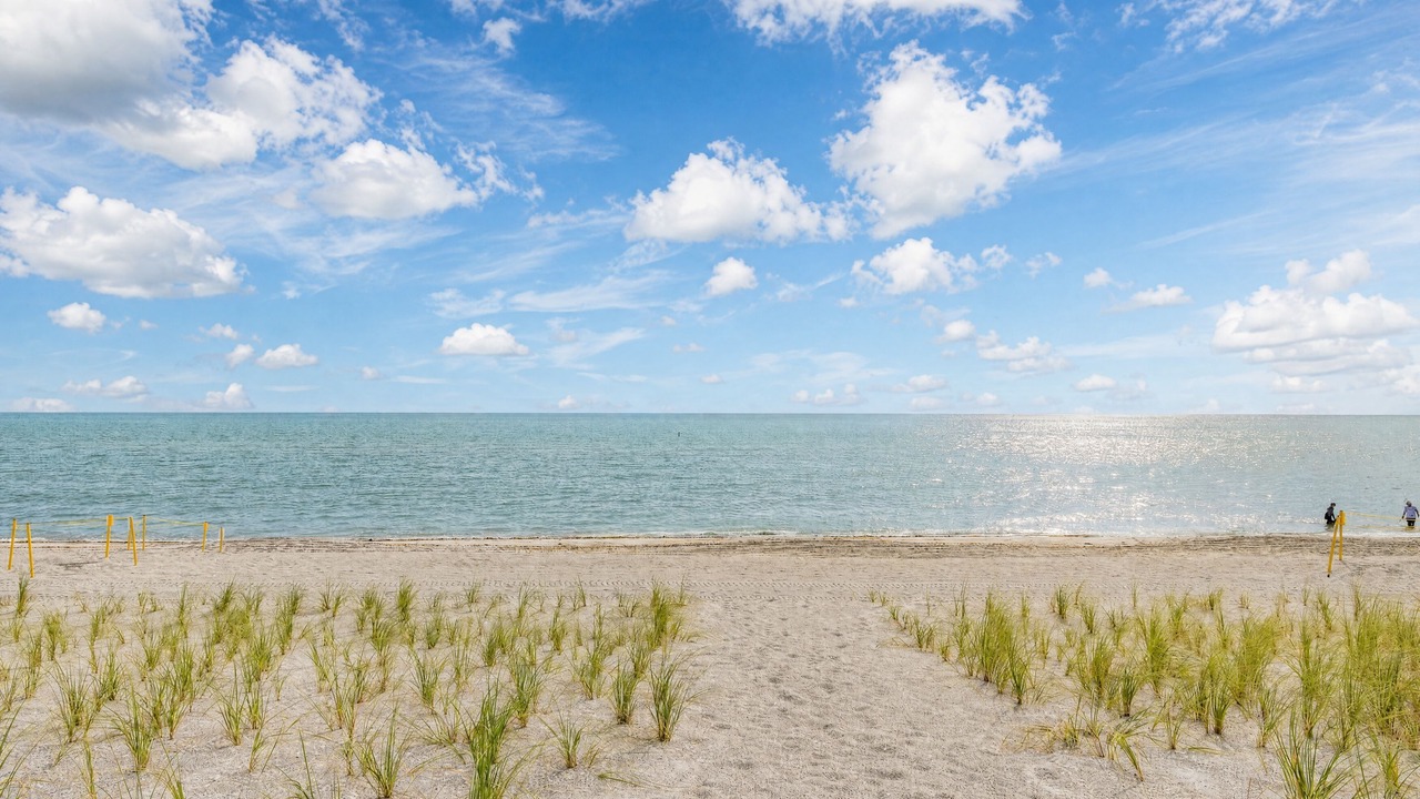 Photo of Others in Captiva