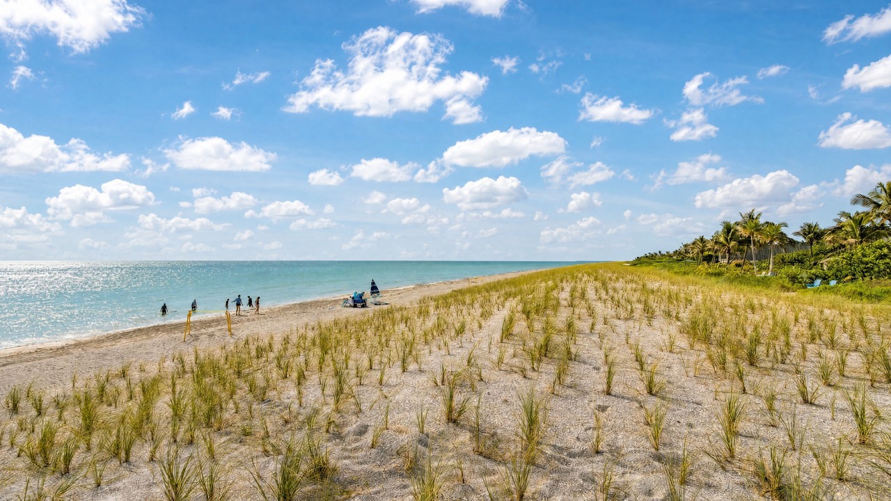 Photo of Others in Captiva