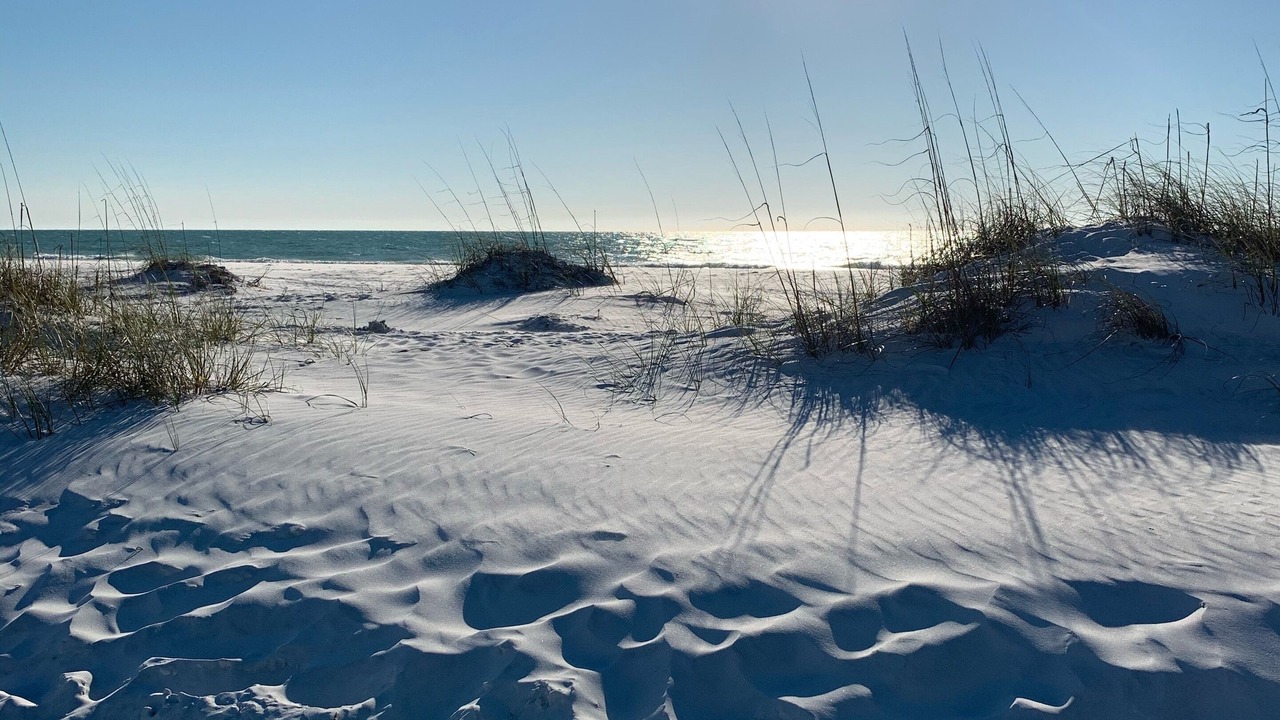Photo of Others in Anna Maria