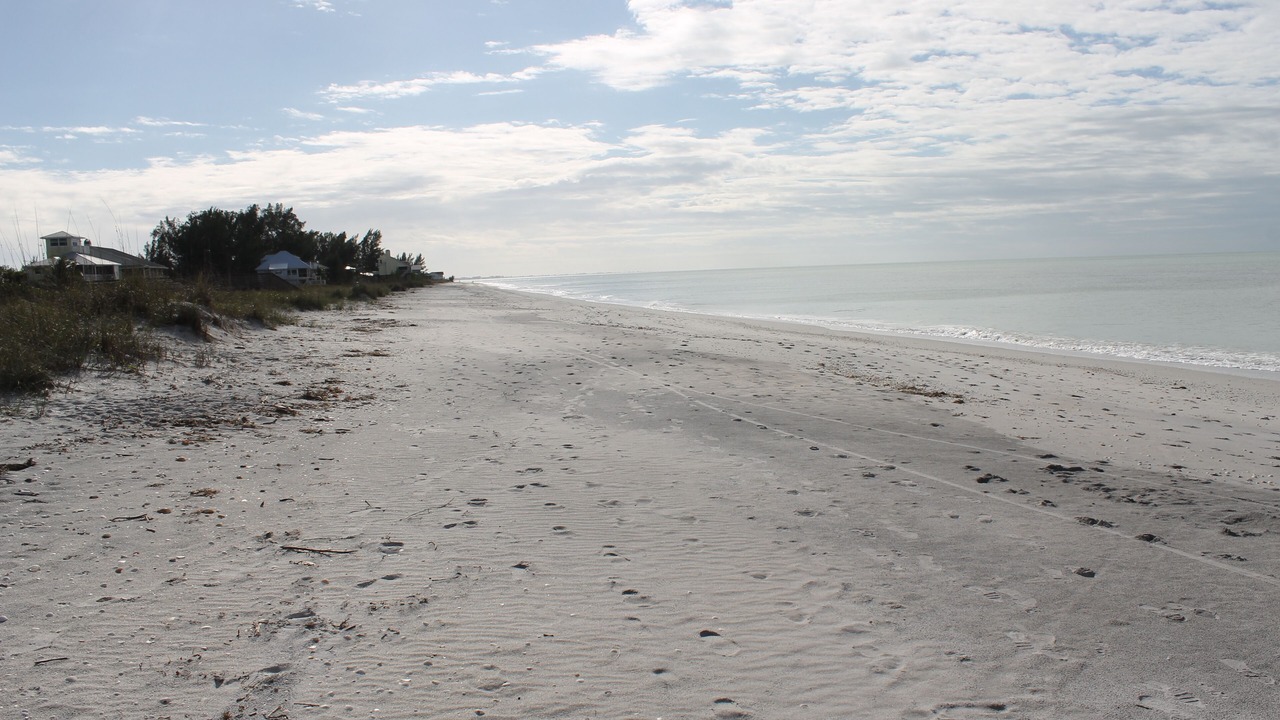 Photo of Others in Palm Island