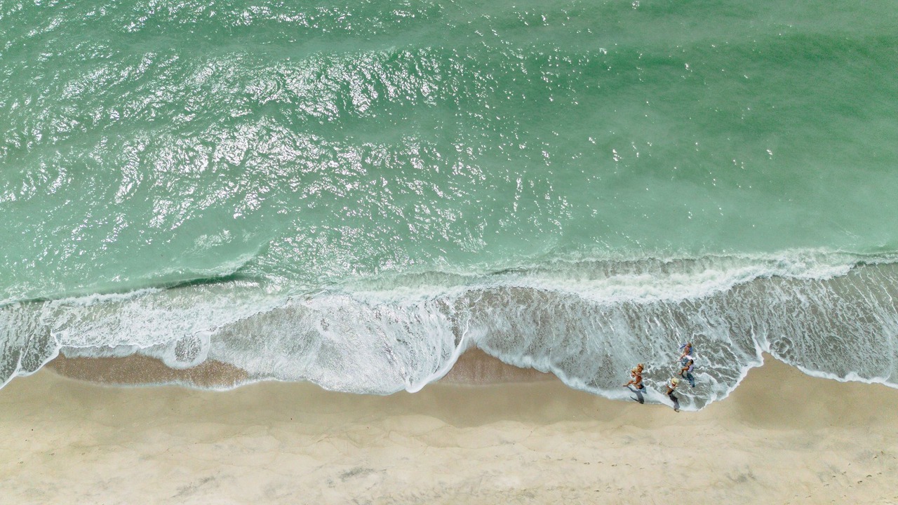 Photo of Others in Captiva