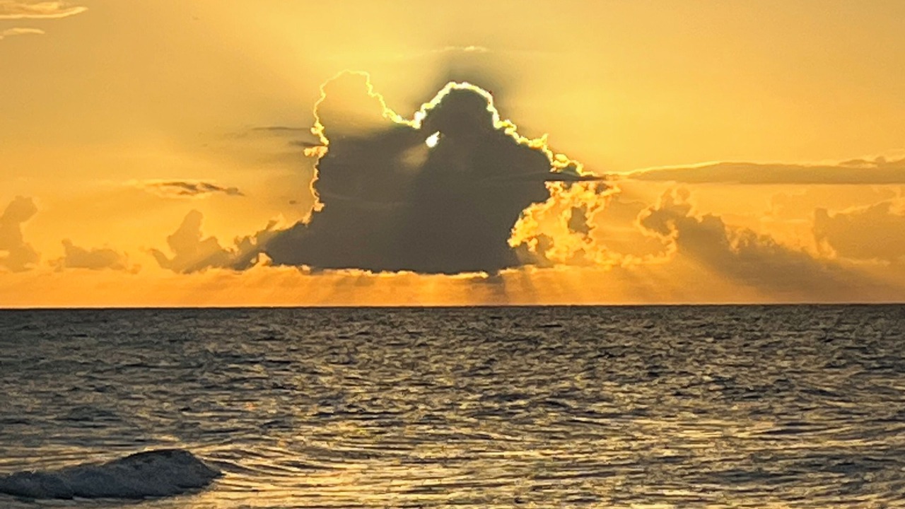 Photo of Others in Sarasota