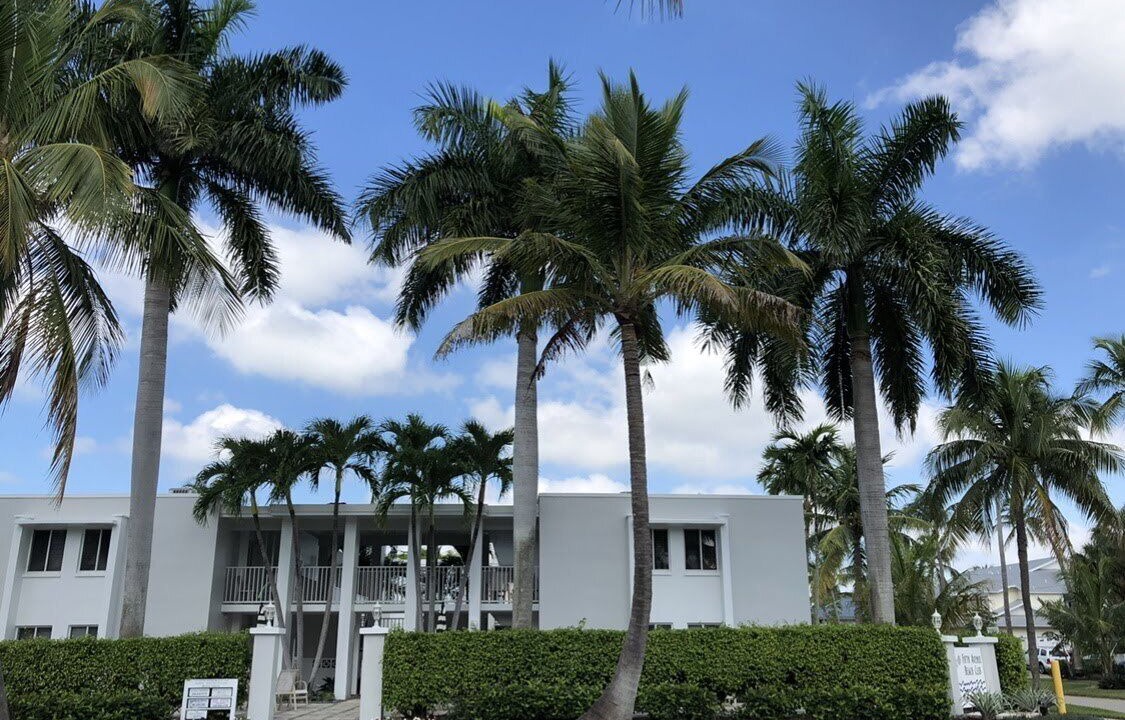 Photo of Outdoor in Old Naples