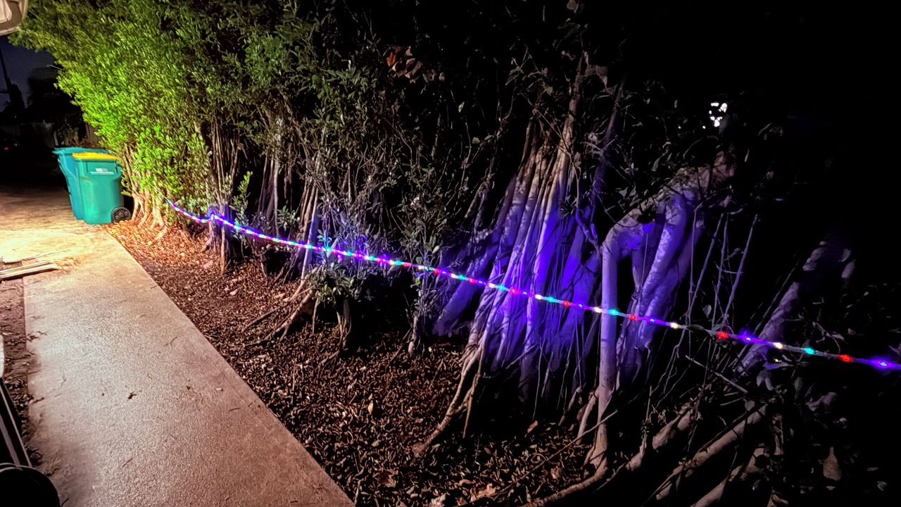 Photo of Outdoor in Naples Park
