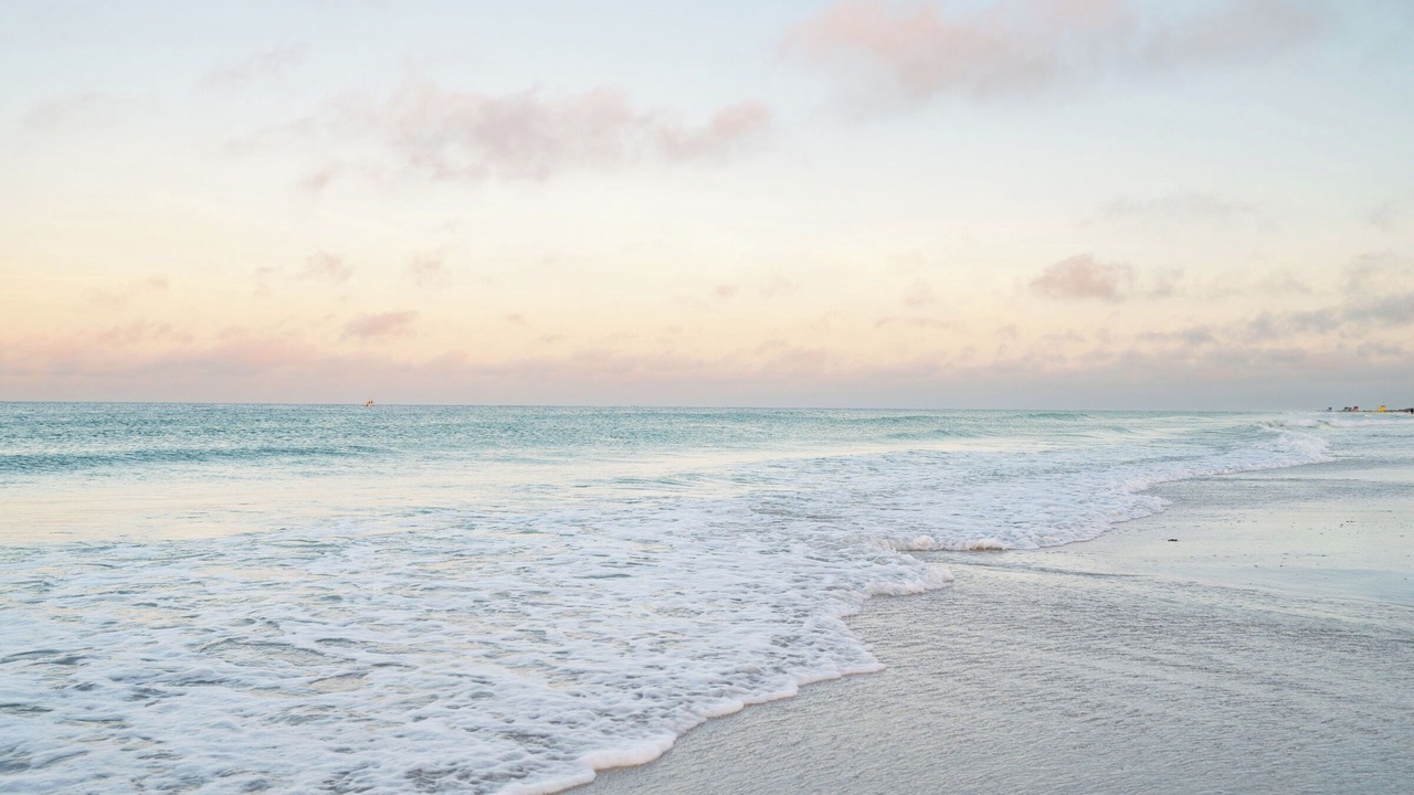 Photo of Others in Siesta Key