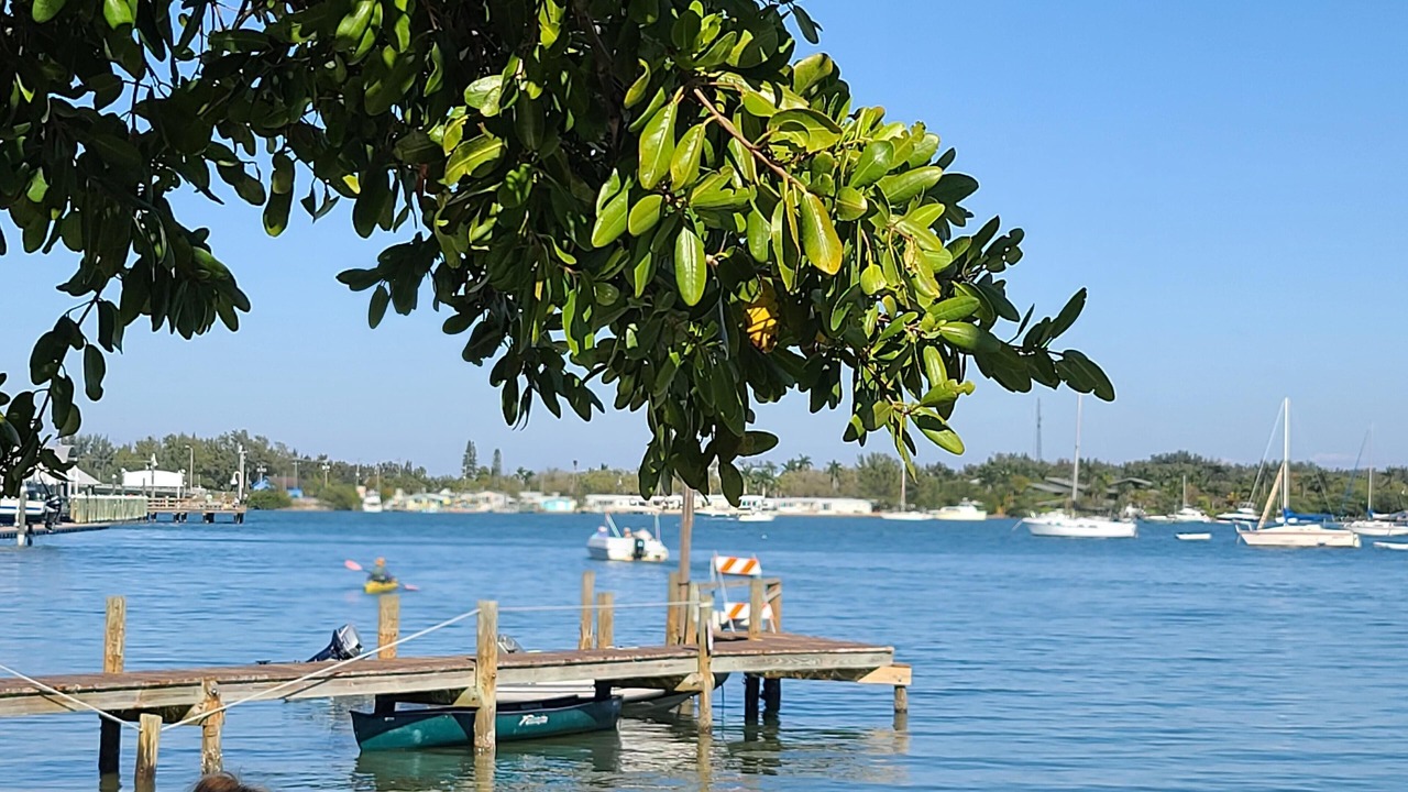 Photo of Others in West Bradenton