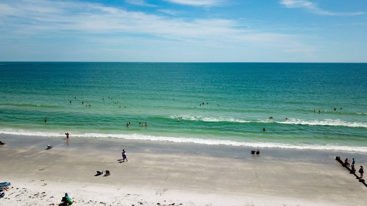 Photo of Others in Madeira Beach