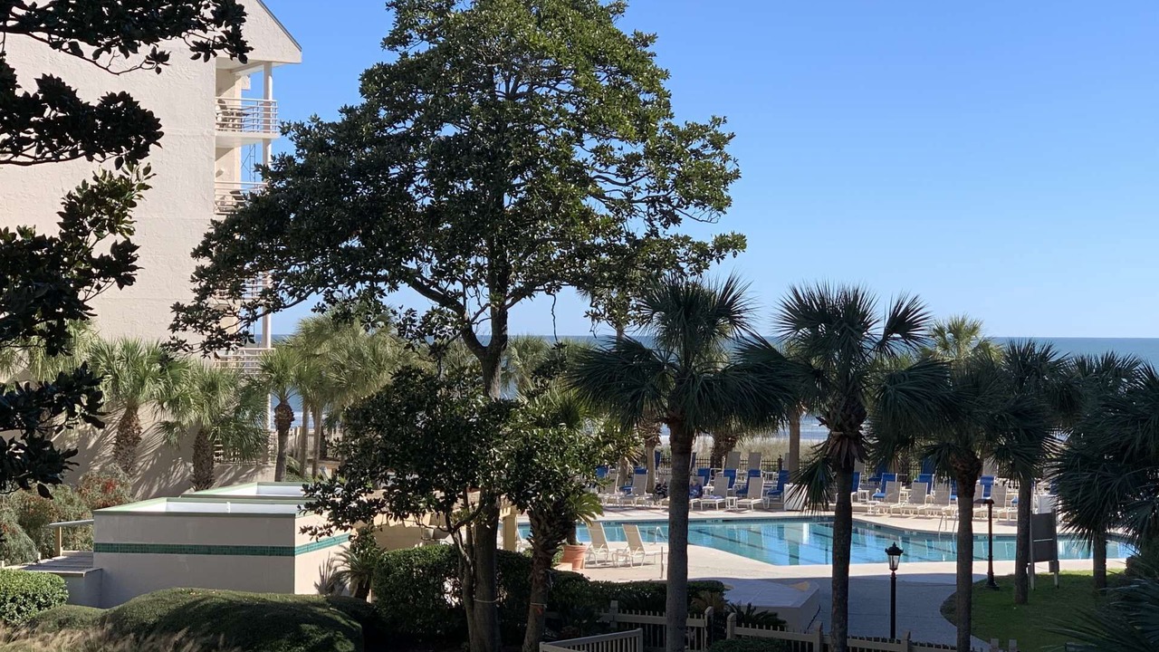 Photo of Outdoor in Palmetto Dunes