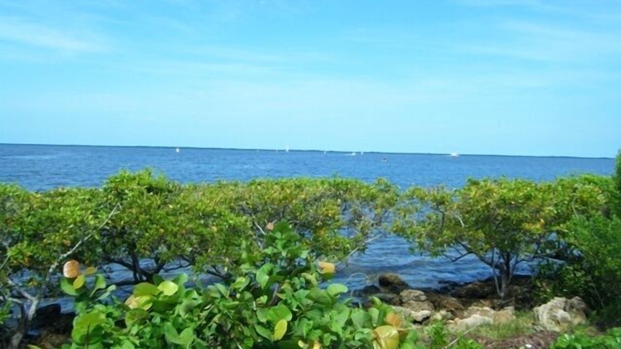 Photo of Others in Deep Creek