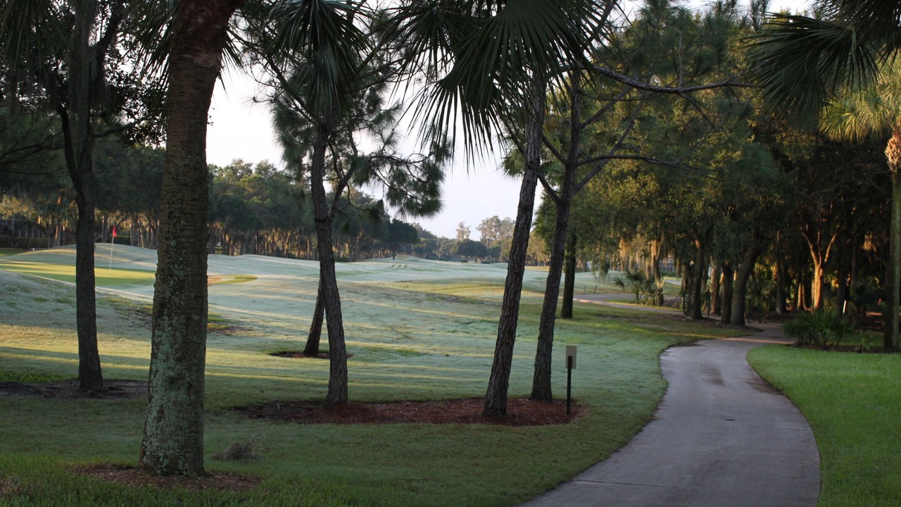 Photo of Others in Braden River