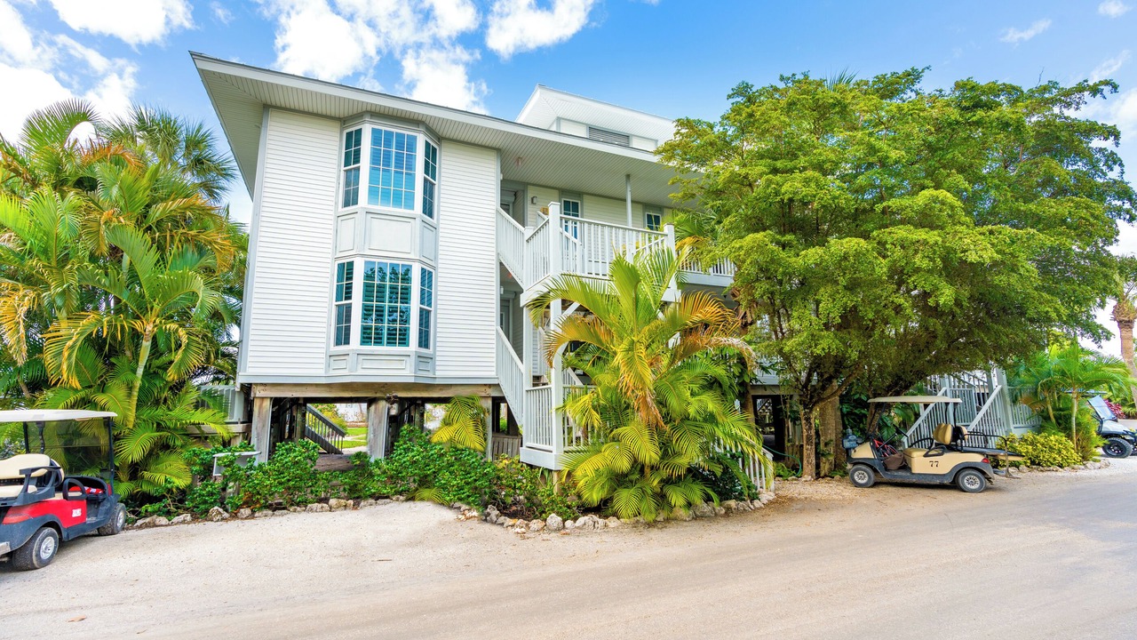 Photo of Outdoor in Palm Island