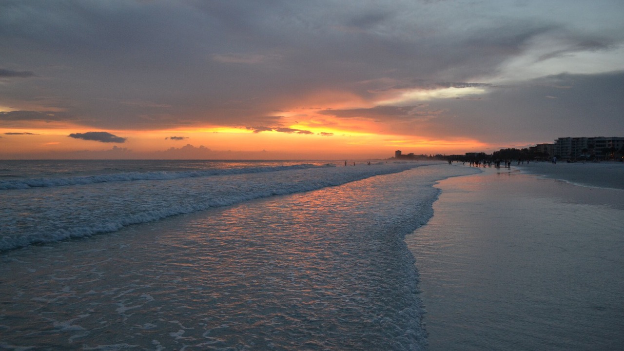 Photo of Others in Siesta Key