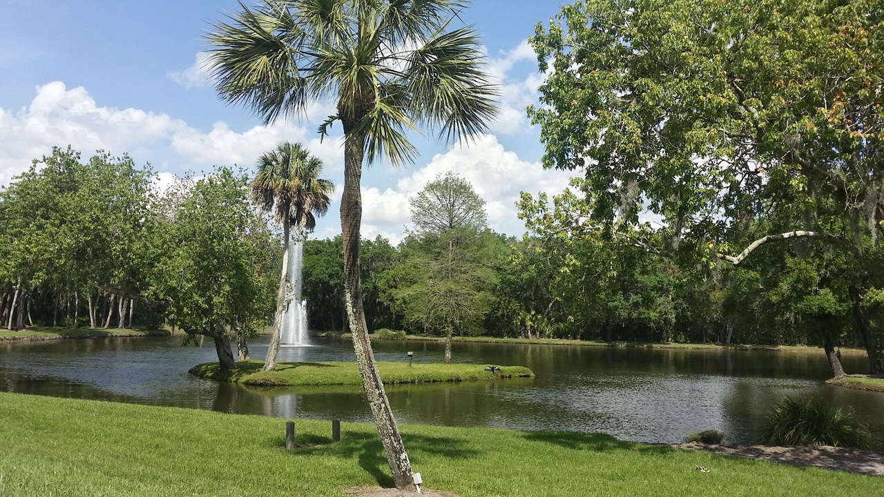 Photo of Outdoor in The Meadows