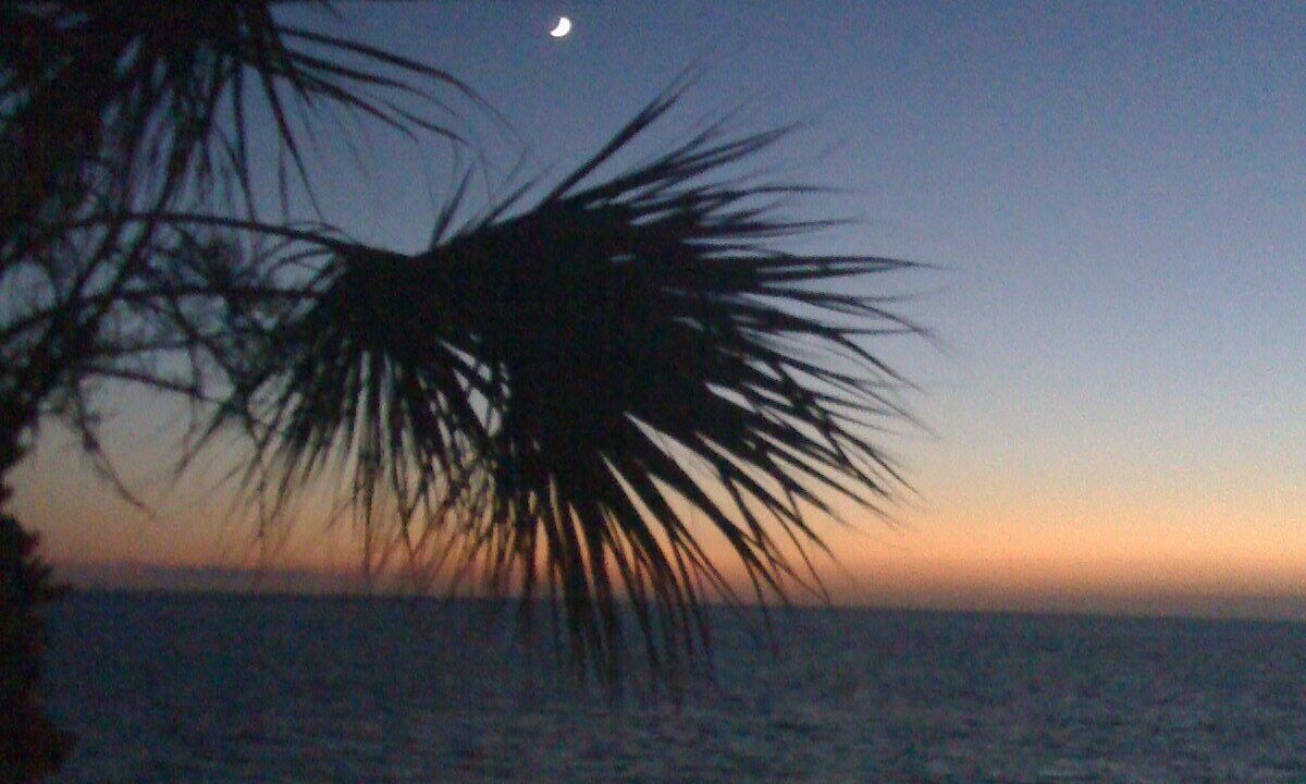 Photo of Others in Belleair Beach