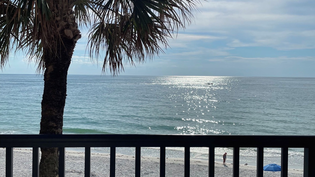 Photo of Outdoor in Belleair Beach