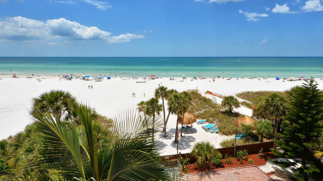 Photo of Others in Siesta Key