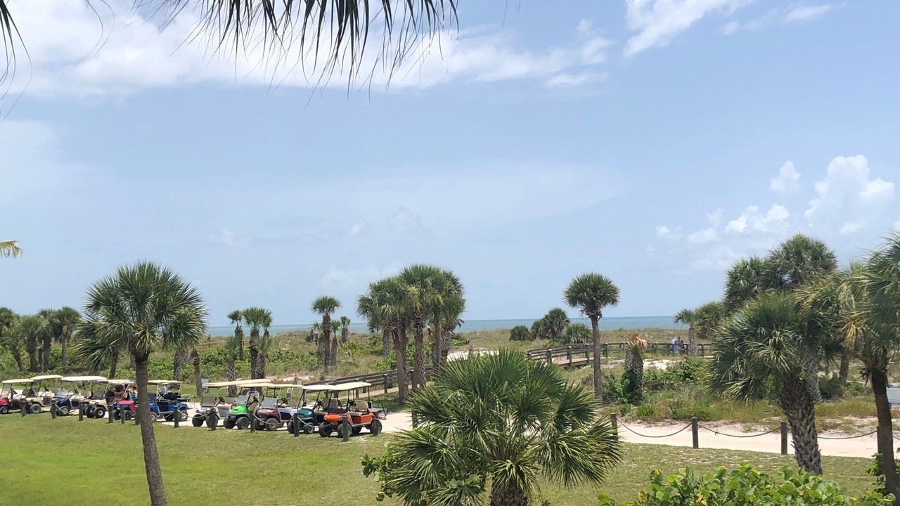 Photo of Outdoor in Placida