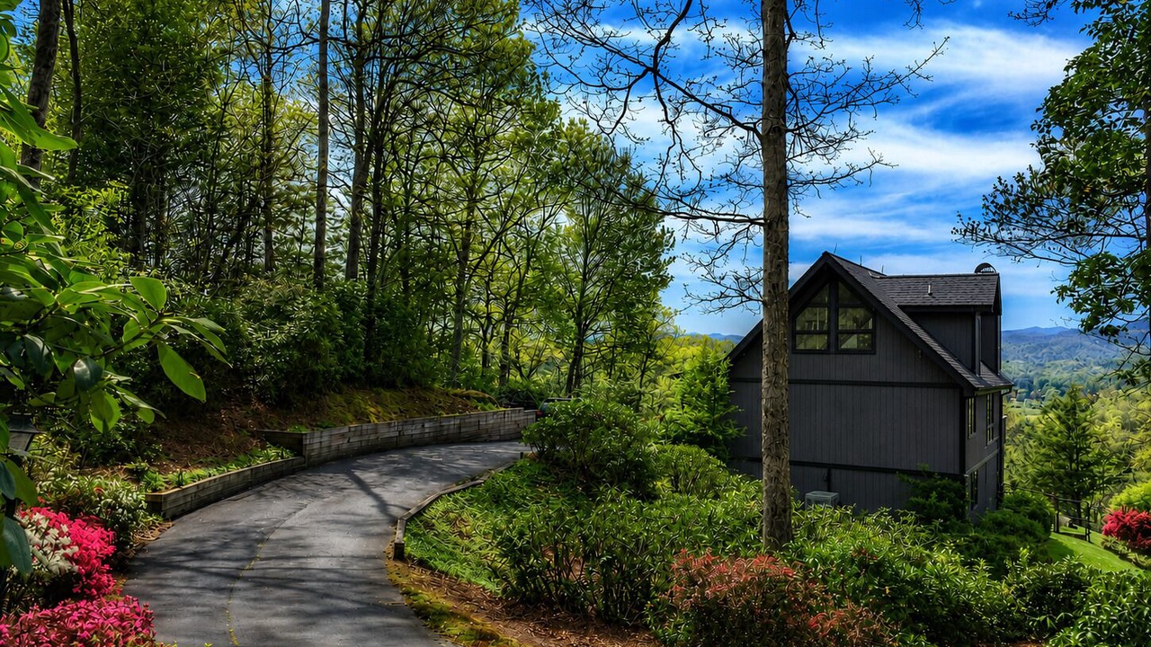 Photo of Outdoor in Pisgah Forest