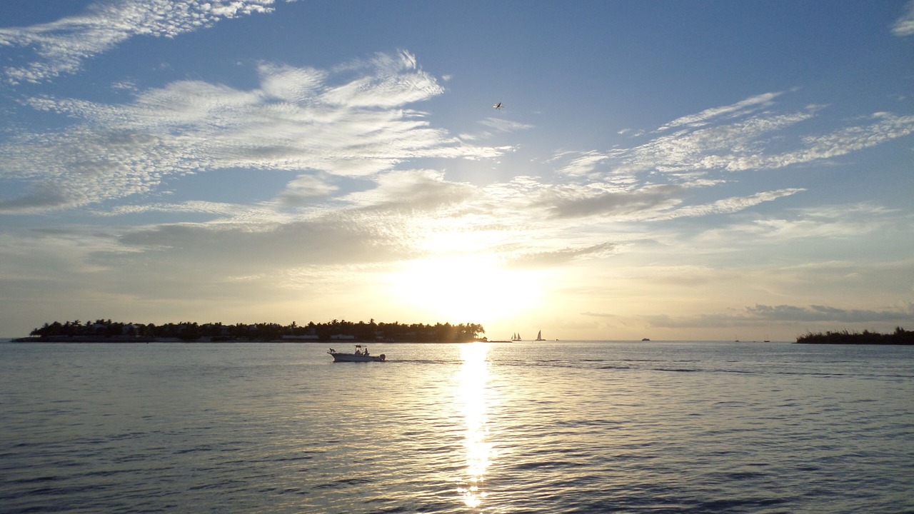 Photo of Others in Caloosahatchee
