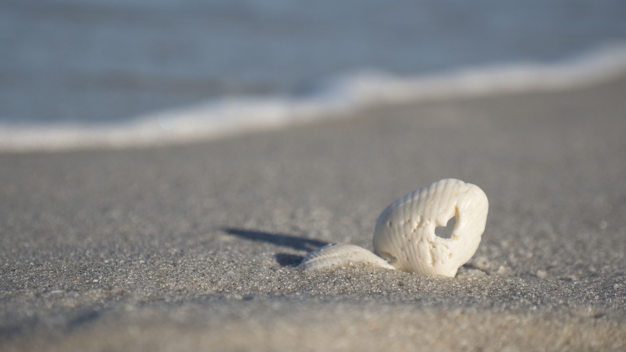 Photo of Others in Vanderbilt Beach