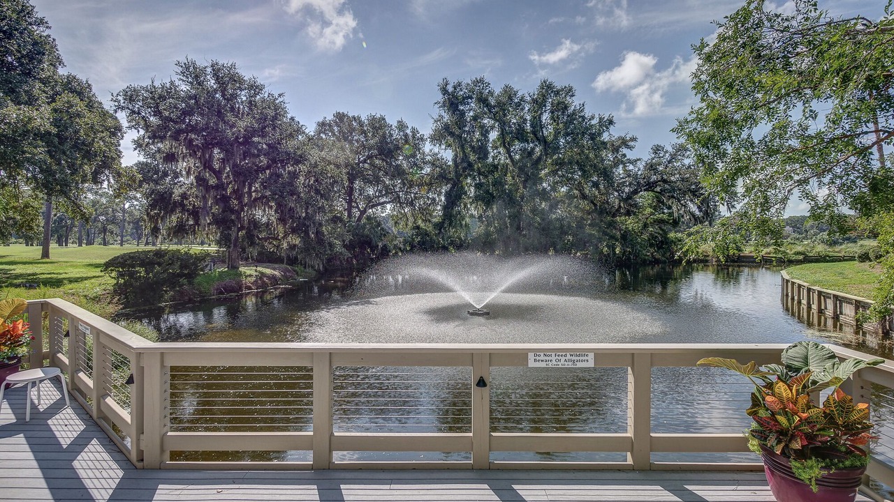 Photo of Outdoor in Palmetto Dunes