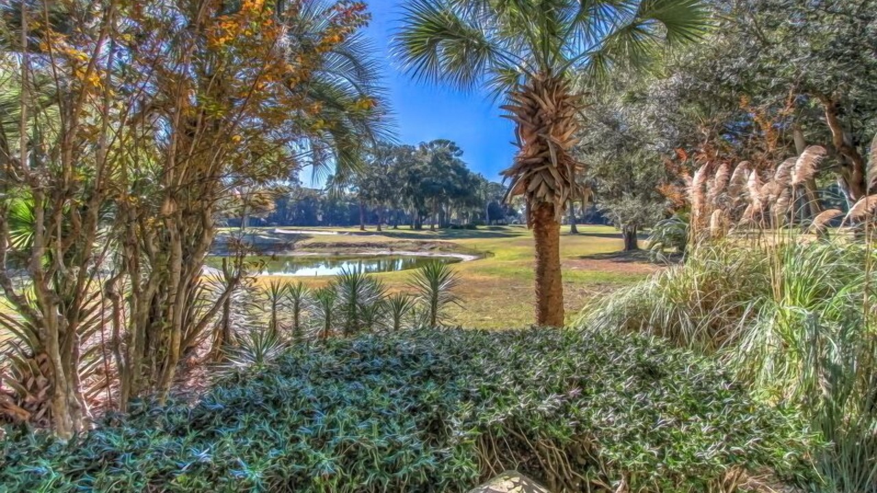 Photo of Outdoor in Palmetto Dunes