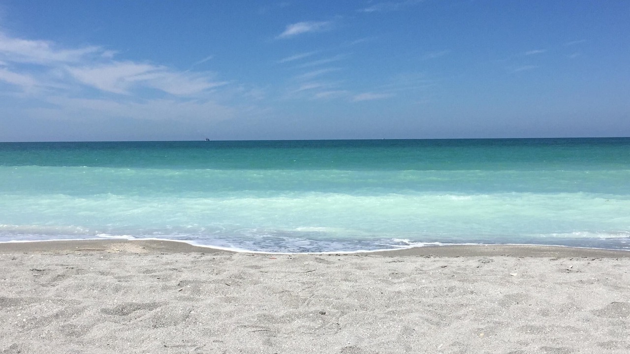 Photo of Others in Siesta Key