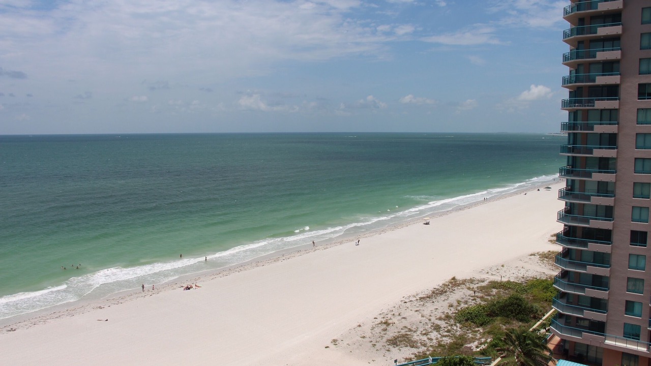 Photo of Others in Sand Key