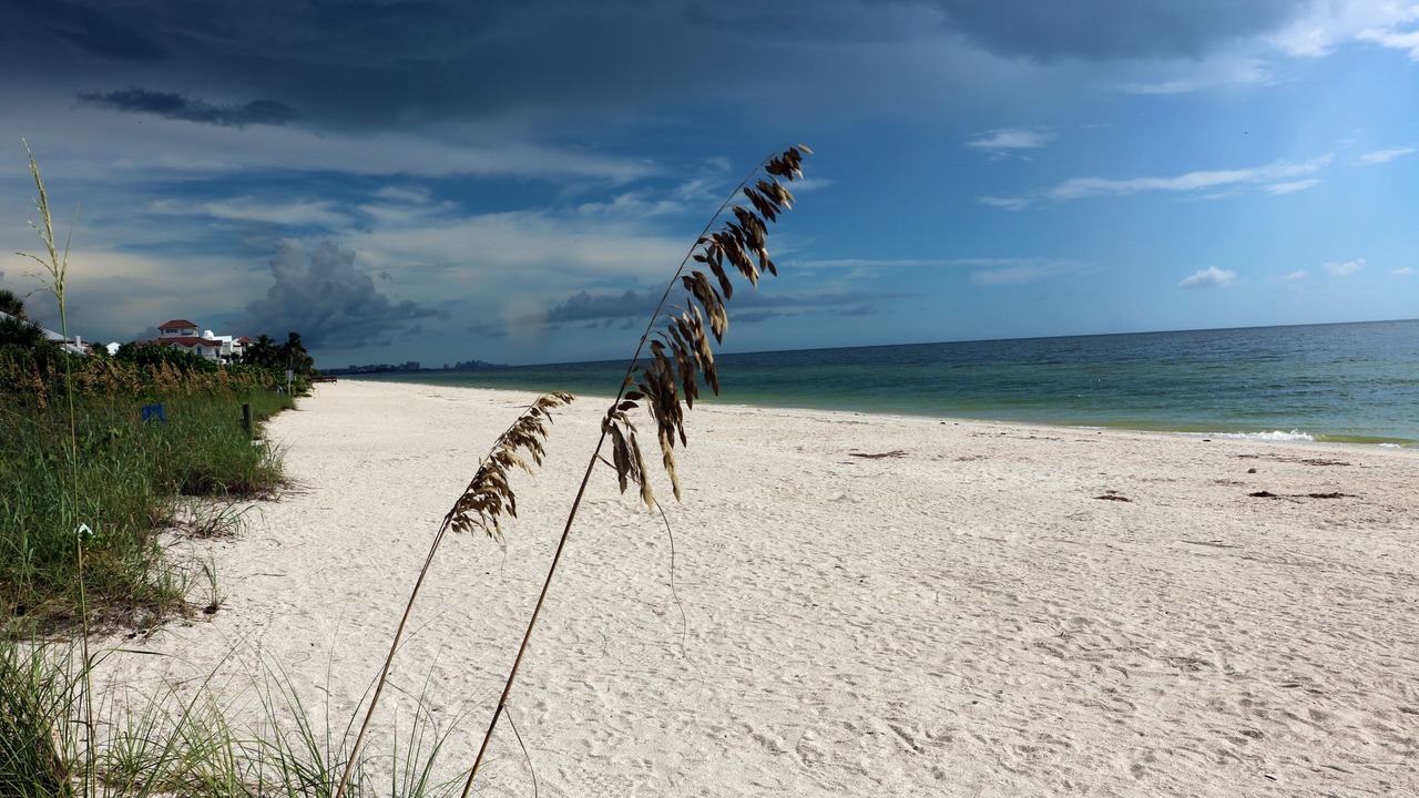 Photo of Others in Bonita Shores