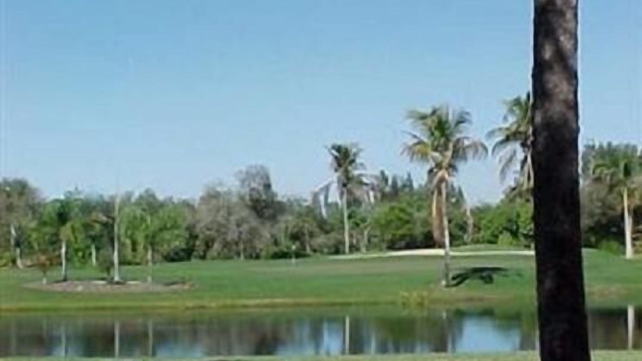 Photo of Others in Tropical Cove
