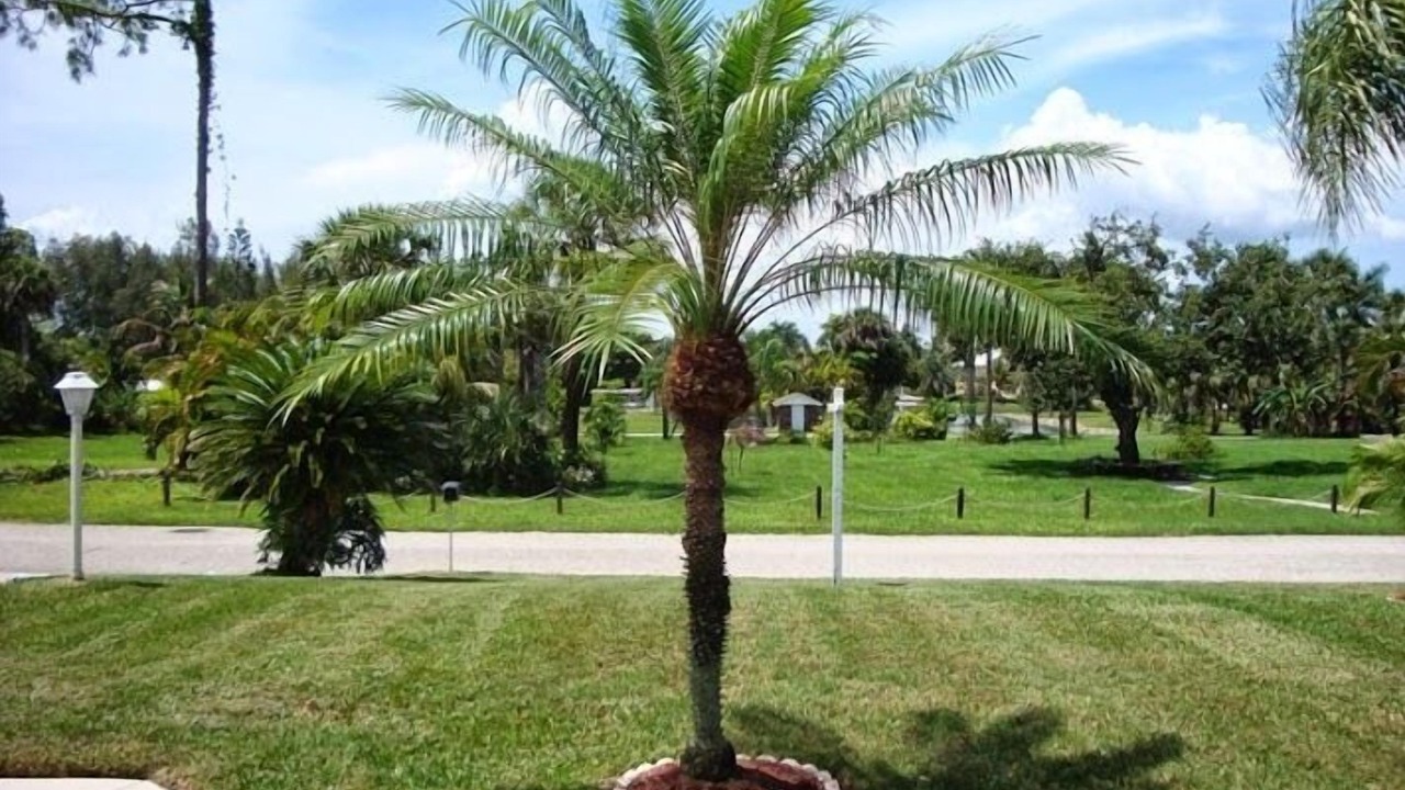 Photo of Others in Bonita Shores